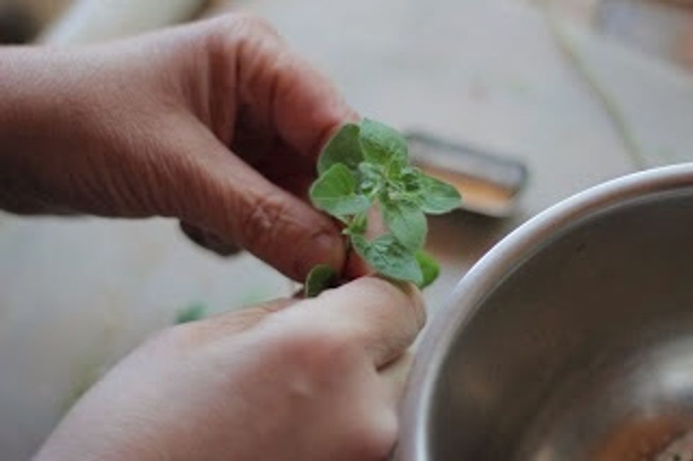 In a bowl toss together: 1 tbs of flour,  1 Tbs fresh chopped thyme,   2 Tbs fresh chopped oregano. Salt and pepper to taste.