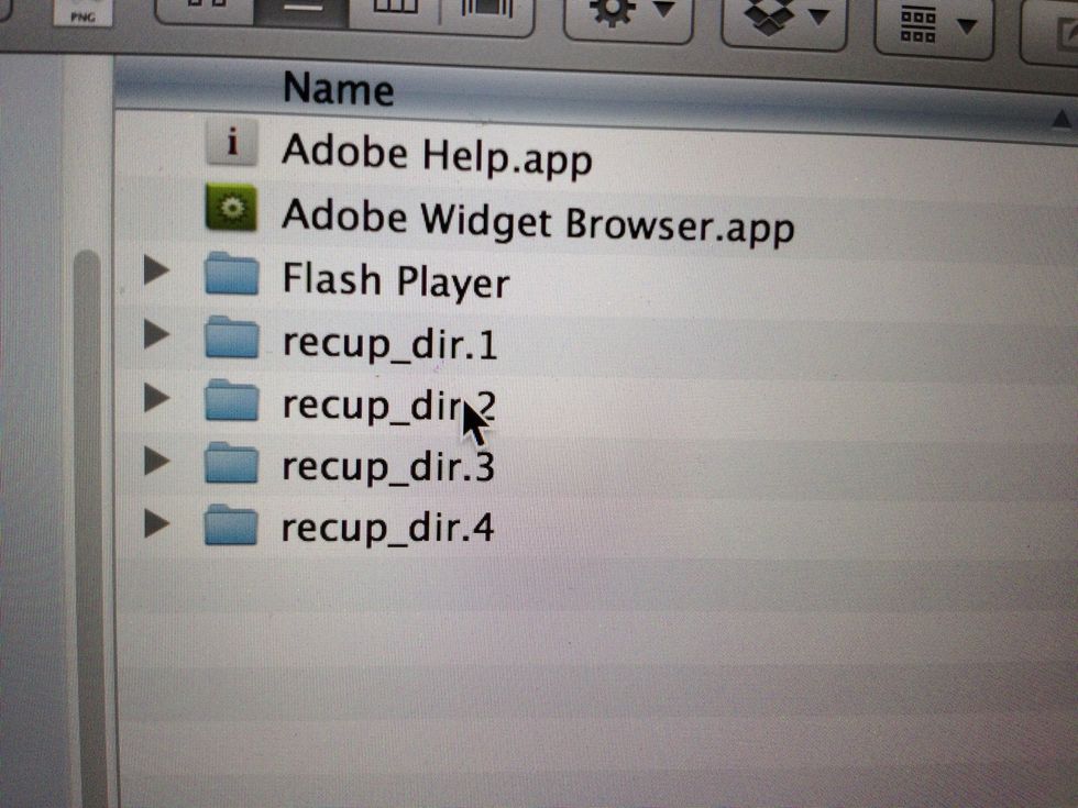 In a file like this you should find everything it recovered