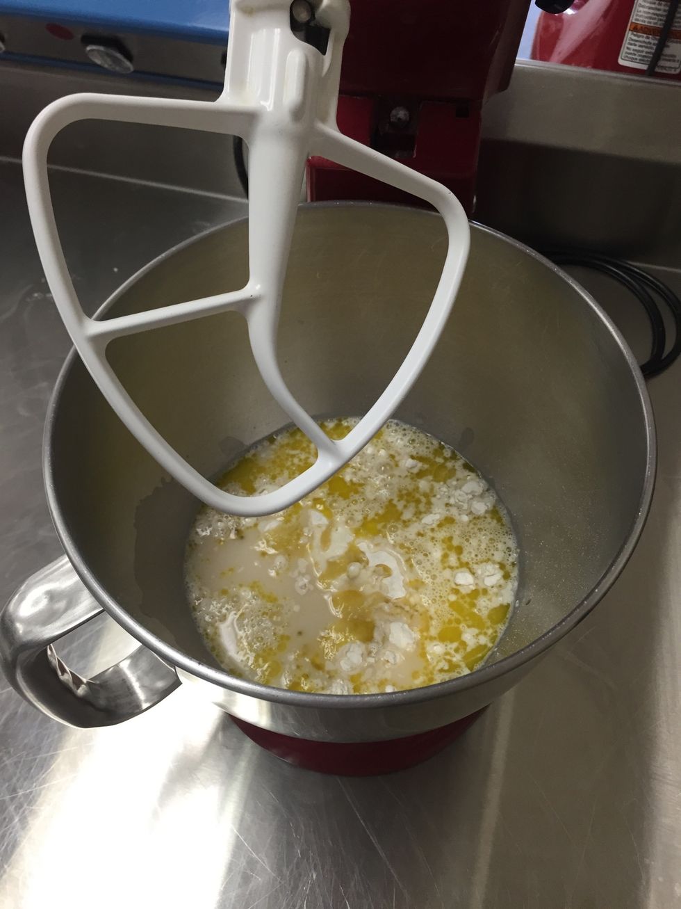 in a large bowl, combine bread flour, olive oil, salt, white sugar & yeast mixture