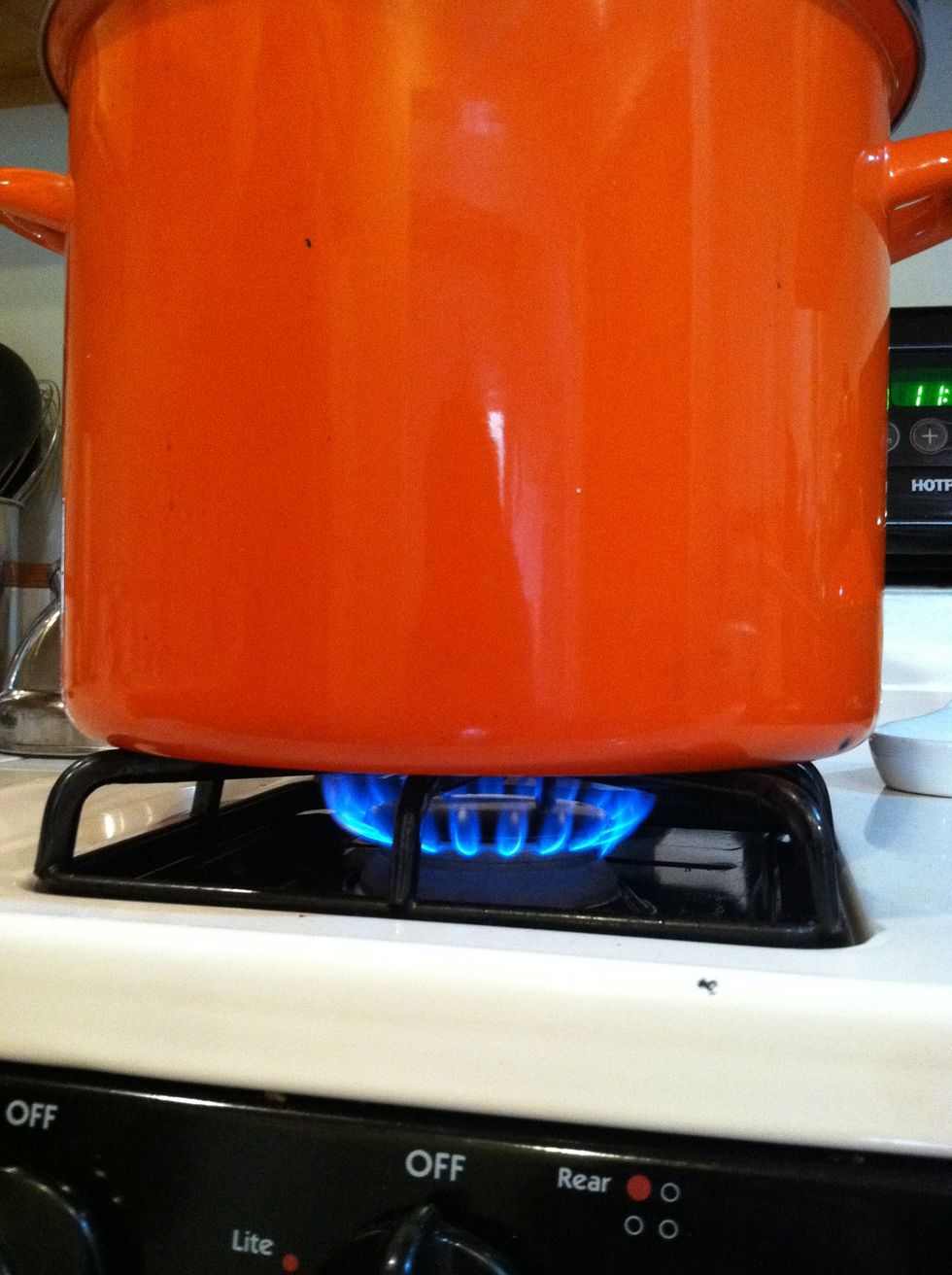 In a large sauce or soup pot, heat 3 Tbsp veg oil and then put the neck and giblets in. Cook for about 5 minutes at medium heat or until brown on all surfaces.