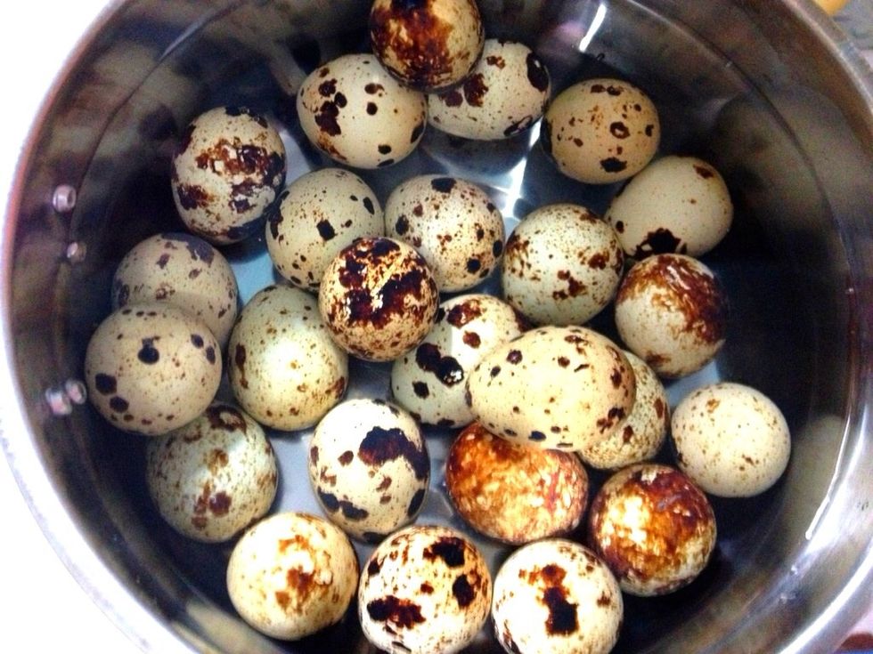 In a medium saucepan, add in the quail eggs and salty water. Bring to a gentle boil and simmer for at least 3 minutes for stiffer yolk. Note: eggs should be at room temp