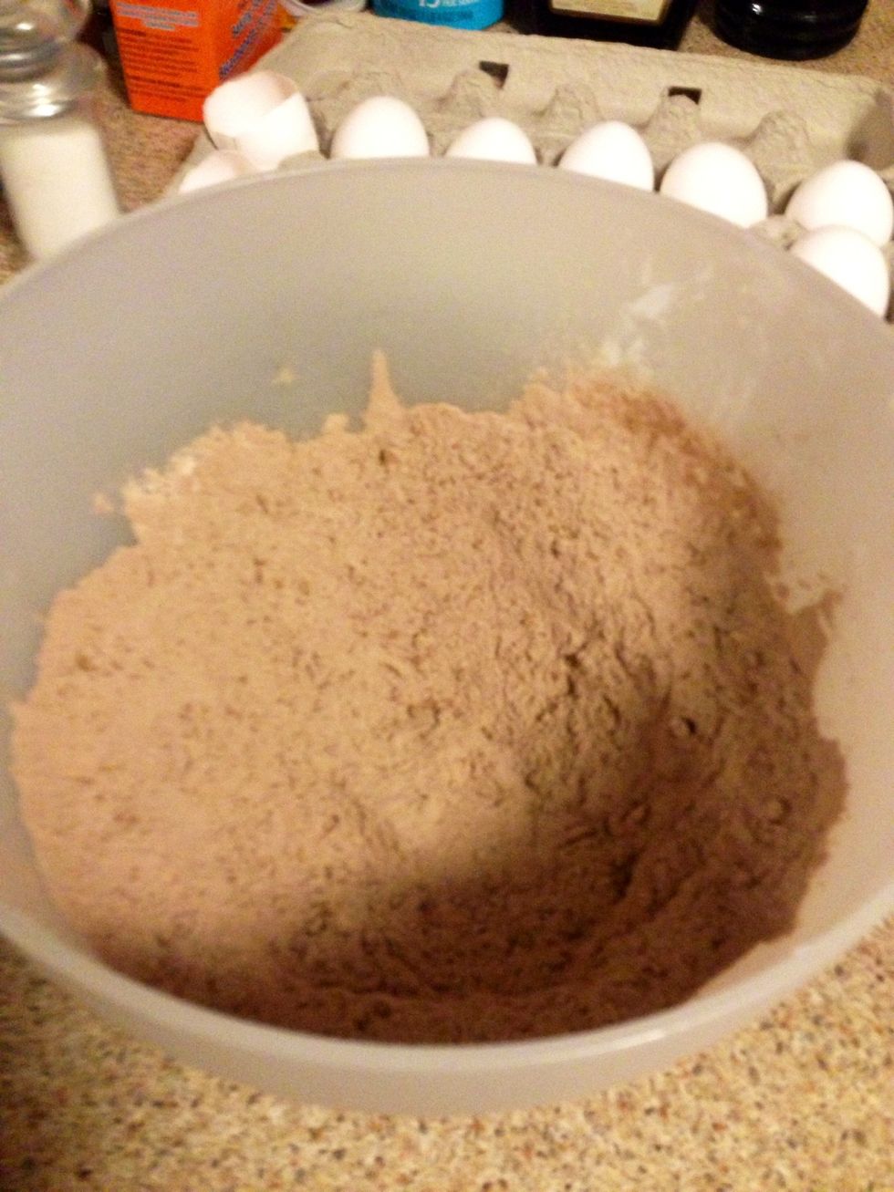 In a medium sized bowl mix remaining dry ingredients (except the chocolate chips - those are last) with a wire whisk until fully blended and set aside.