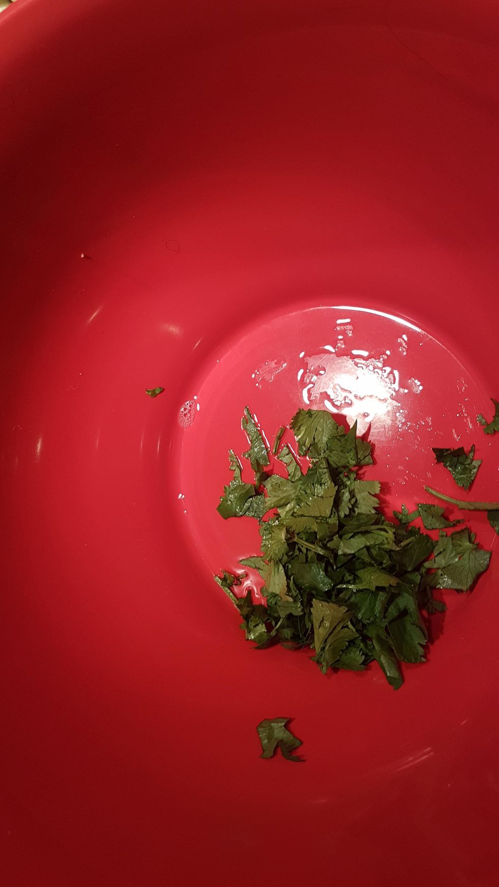 in a mixing bowl add the coriander,