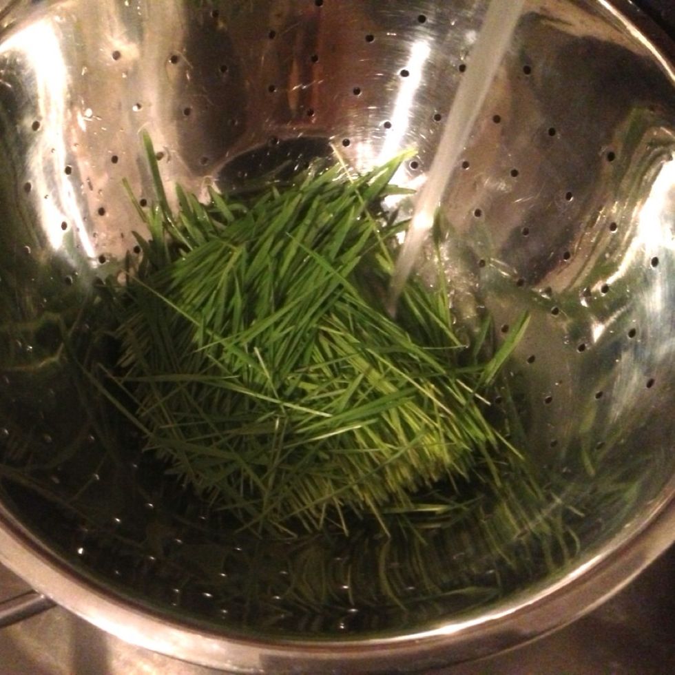 In a strainer, wash the blades under clean, lukewarm running water to remove any dirt, insects, or bacteria. Be sure to lift and move around blades for optimal cleaning.