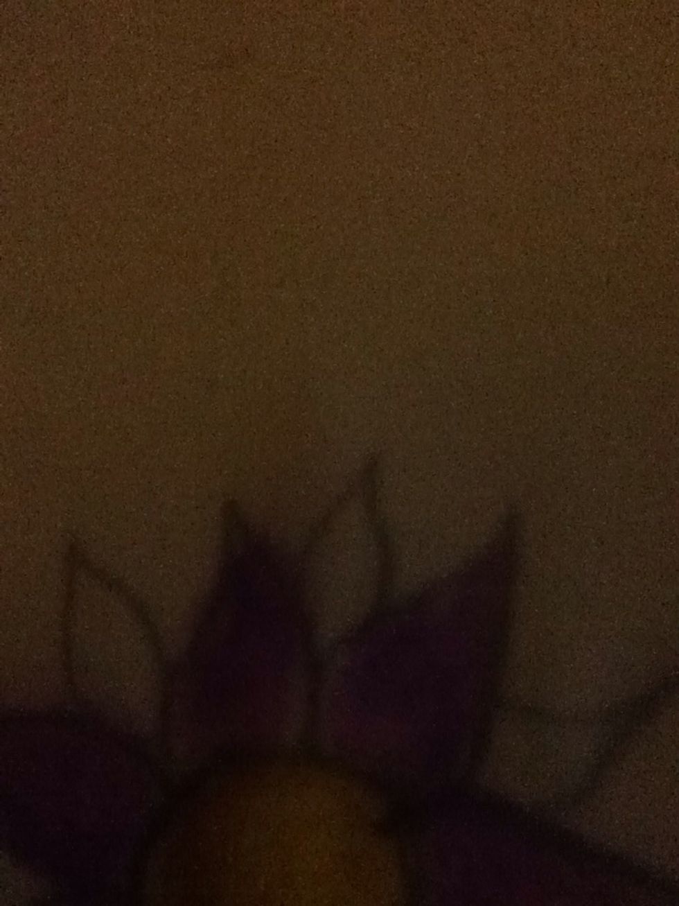 In between the petals draw smaller tear shapes.