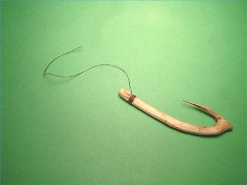 In case you can't find a can. What follows are examples of fishing hooks that can be made out of material commonly found in the wild.