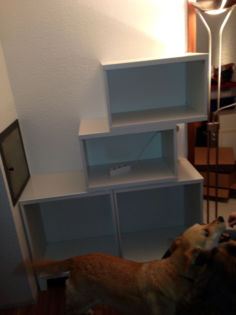 In case you want to add lights, don't forget: You'll need some power (look at the center of the picture, there it is)