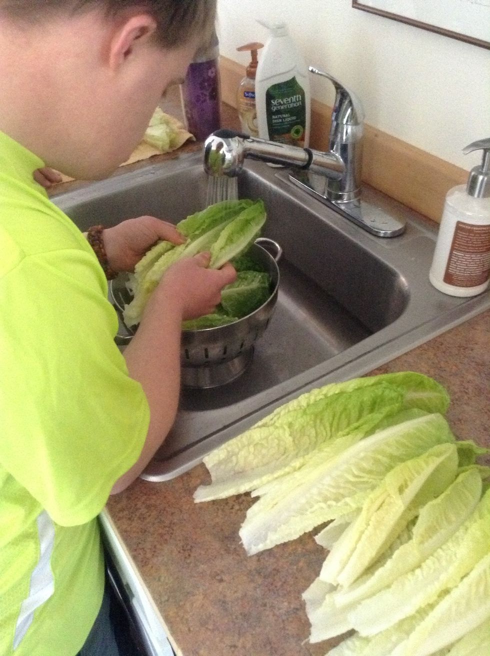 In kitchen sink wash lettuce. Make sure to spread apart the leaves to get any trapped dirt.