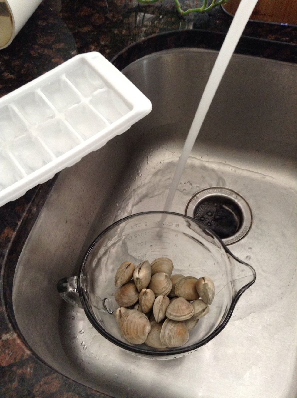 In large bowl, add 2 dozen fresh little neck clams. Fill with cold water & ice cubes.