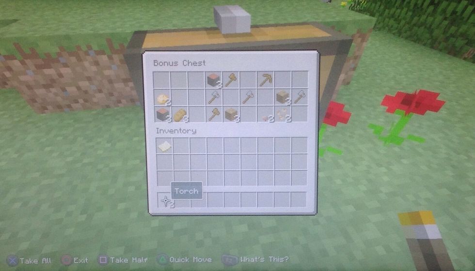 In the chest are some great tools. Those won't always be the case though. To help us get some wood take the axes.