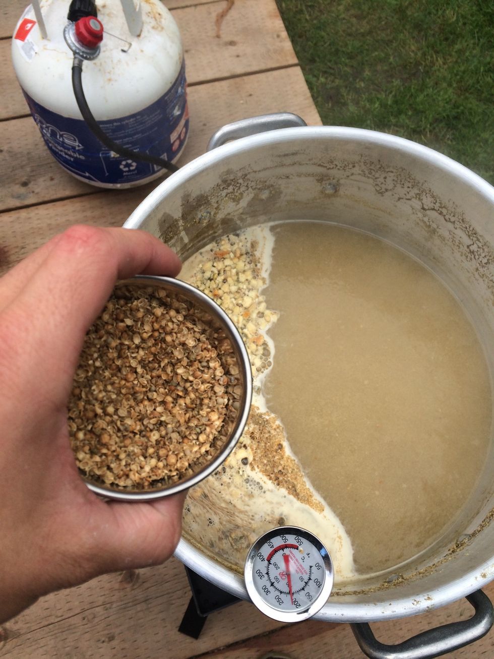 In the last 5 minutes of your 60 minute boil (55 minute mark), add your bitter orange peel and crushed coriander seeds. Stir your wort and let it boil for a final 5 minutes.