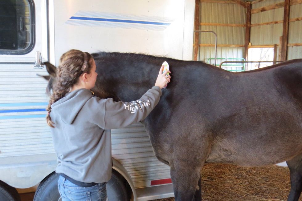 In the morning, brush all the dirt, hay, and dust off the body and legs.
