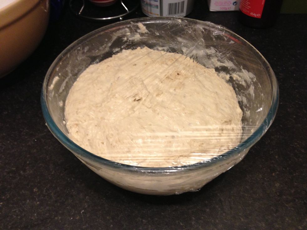 In the morning the dough had nearly doubled in size in the fridge over night