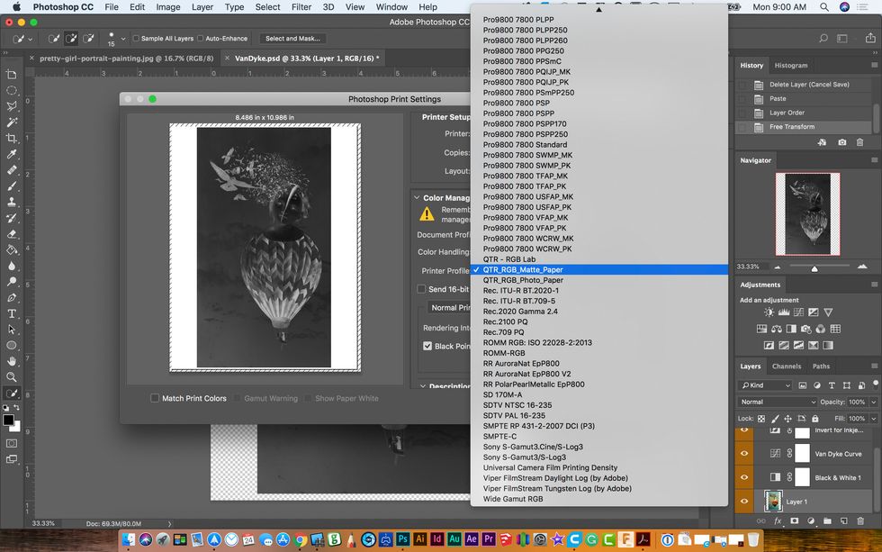 In the Printer Profile menu right under Color Handling select QTR_RGB_Matte_Paper.