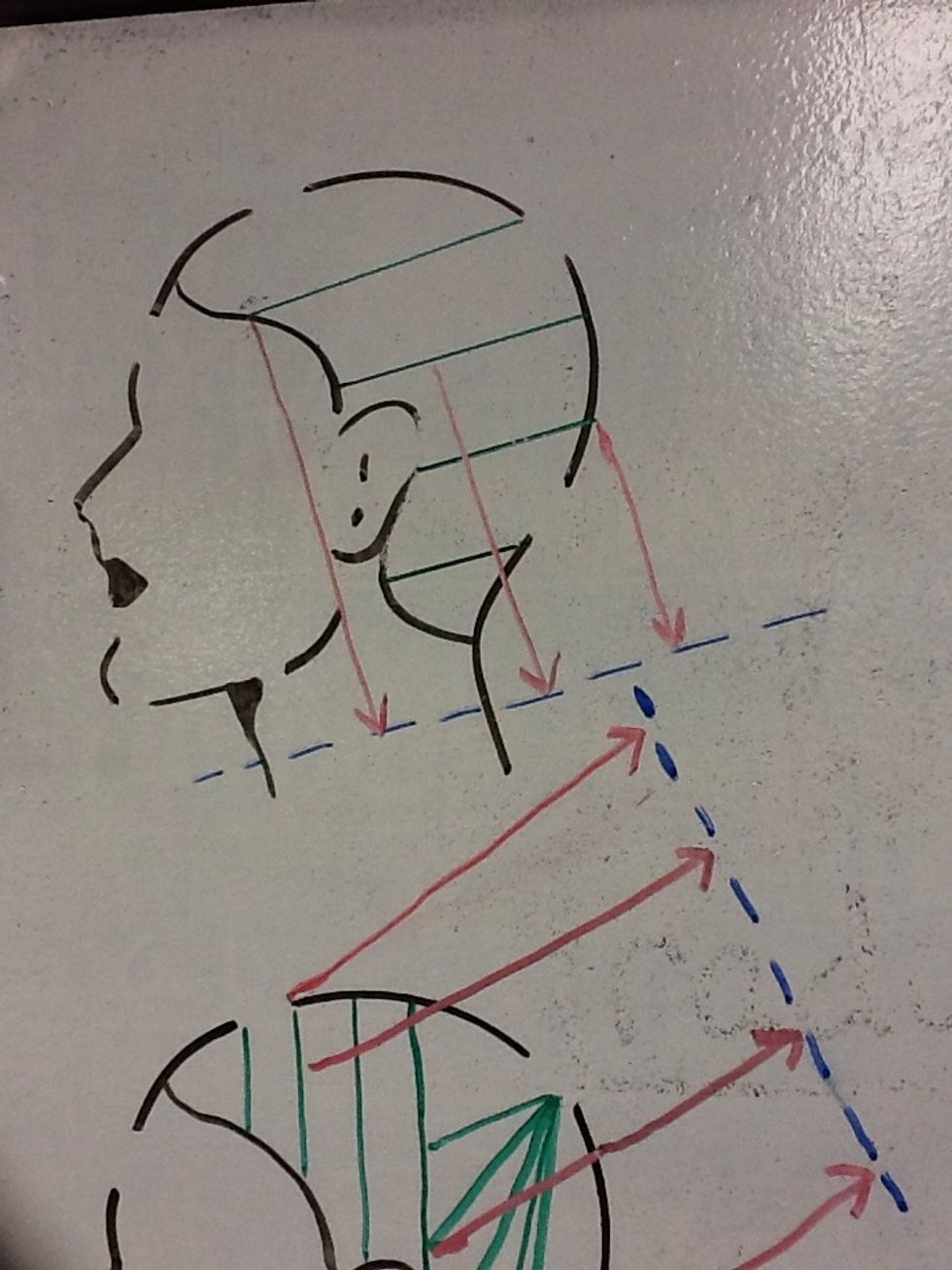 In this cut, all the hair was brought down to the blue line & cut at an angle to give it a diagonal-bob shape. Tis guide will show you how to cut TRIANGULAR layers. Notice the blue line, triangular.