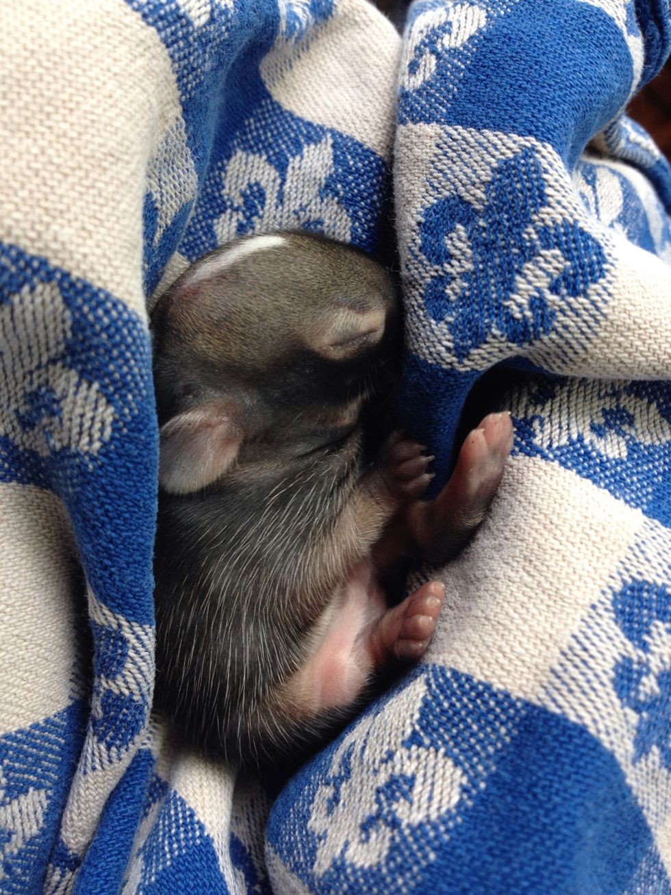 In this picture, I had to use that feature because my phone wanted to focus on the cloth.