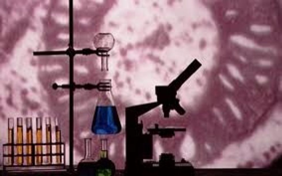 In this snap guide we will be doing a practical investigation for any experiment that you want to do.