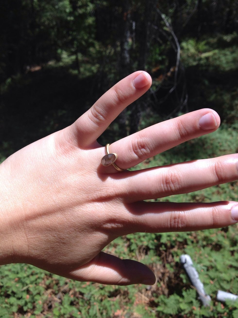 (incidentally, this is an excellent place to get engaged!)