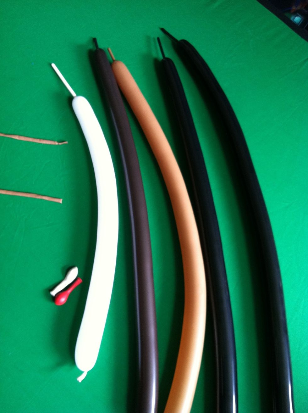 Inflate 1 mocha, 2 black, & 1 chocolate brown leaving a 4" tail.  Be sure to give it a good burp.  Also inflate the white balloon to about 11".  Cut the other mocha balloon in half and tie off end.