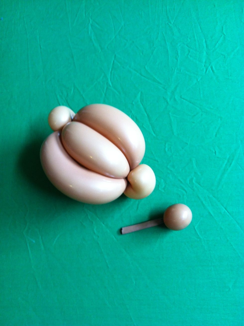 Inflate a small bubble at the nipple end of the scrap and tie close to bubble, leaving tail intact.  Set aside