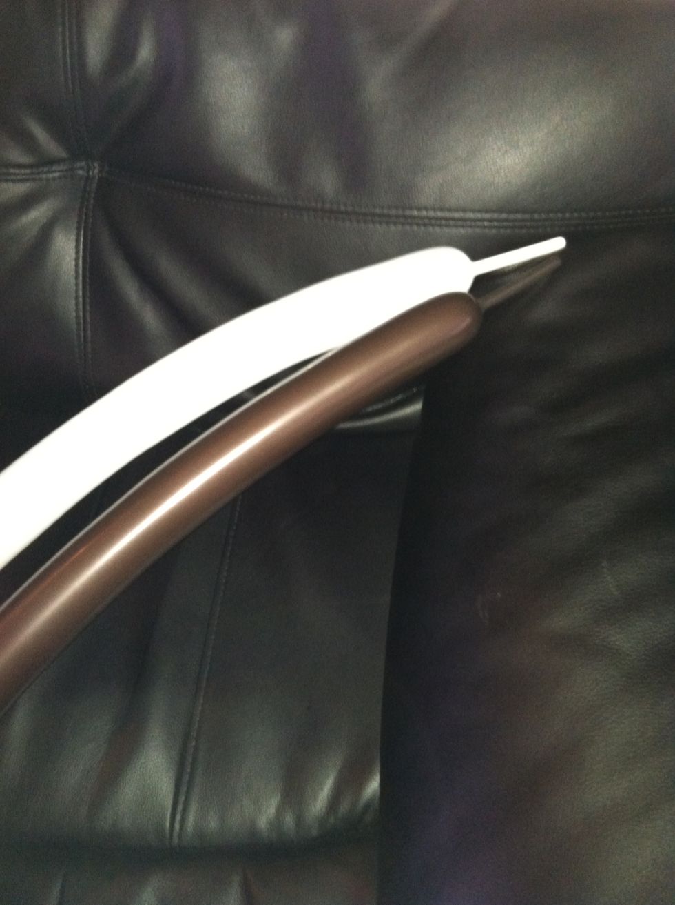 Inflate one white balloon and the brown balloon the same way