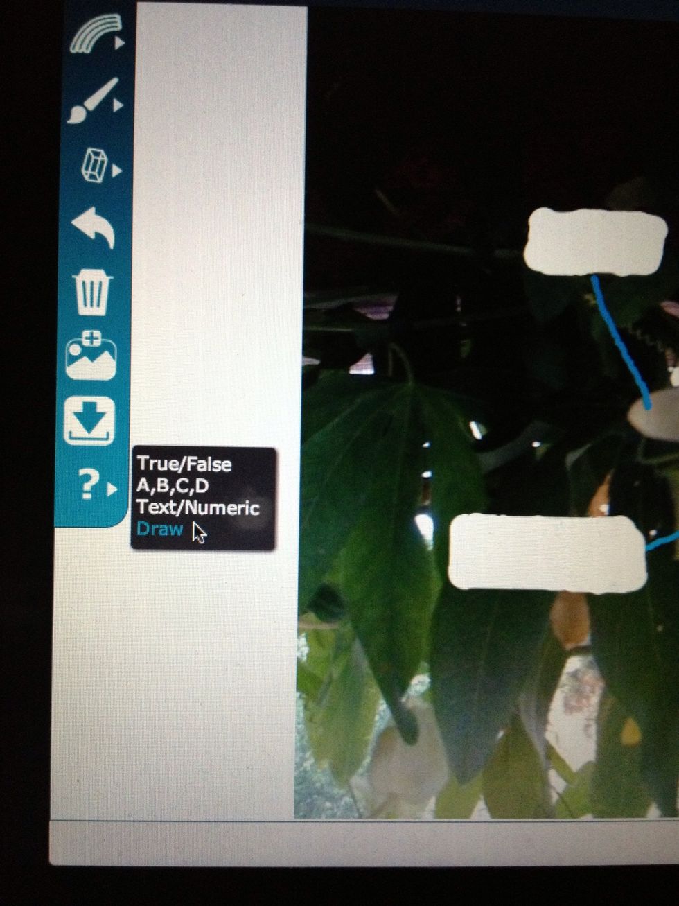 InfuseDraw also allows students to annotate directly on content when the "Draw" response selection is chosen from the InfuseDraw toolbar.