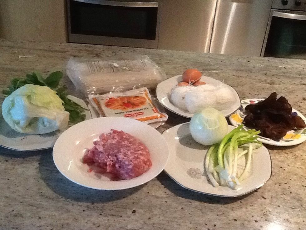 ingredient:300g of mince pork,2 eggs,1 role of vermicelli(Chinese noodles),100g of mung bean shoots,onions and spring onions,white noodle(kind of the same but use on it own),mushroom,lettuce ricepaper