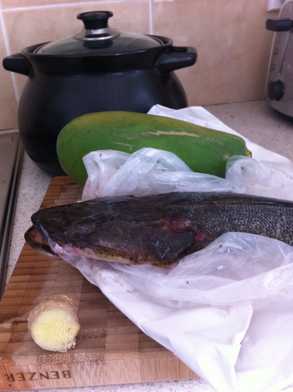 Ingredients, I'm using a flathead this time, a green papaya and fresh ginger, very simple ingredient.