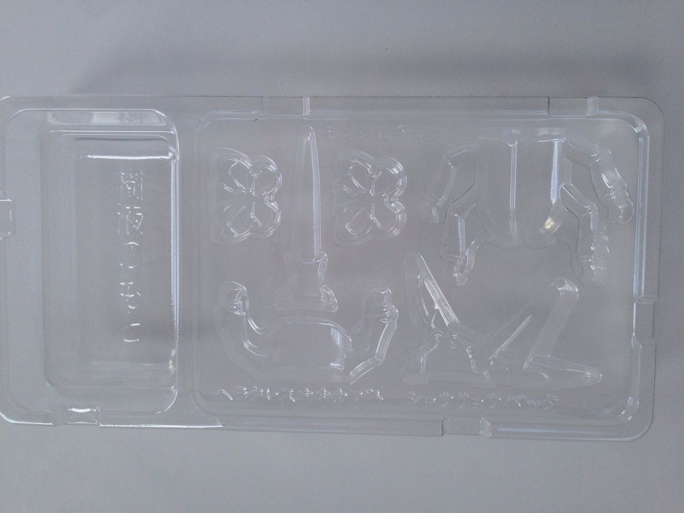 Insect Mold Tray