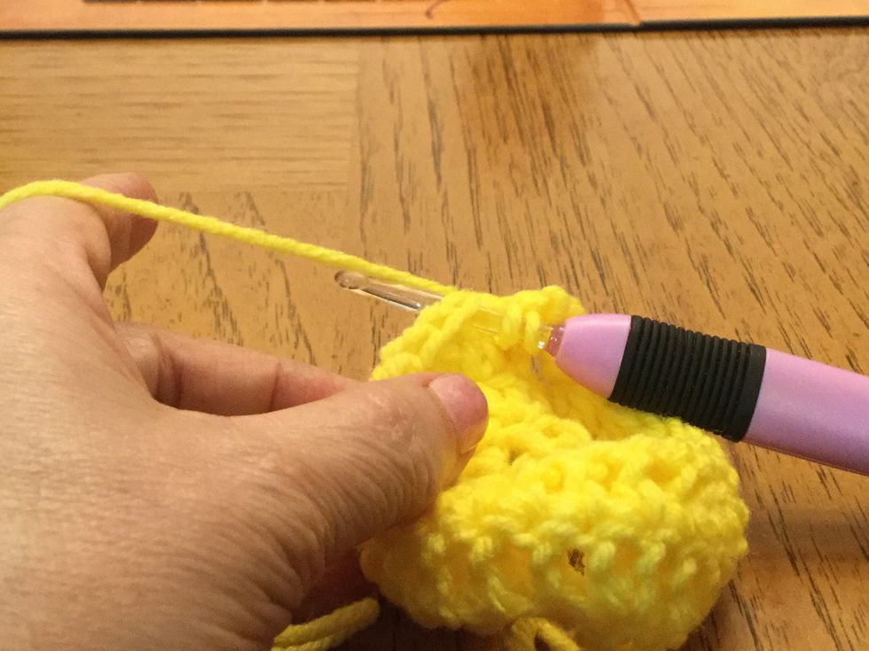 Insert hook into top of next DC and pull up another loop for a total of 3 loops on hook.