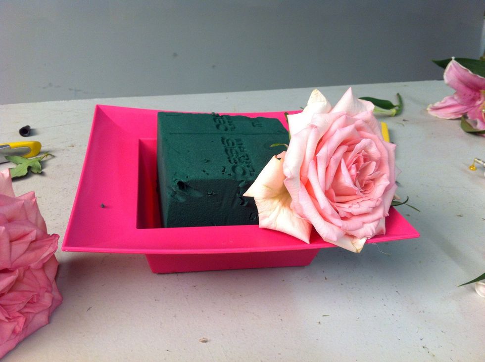 Insert soaked OASIS foam into container and insert roses along foam edge.