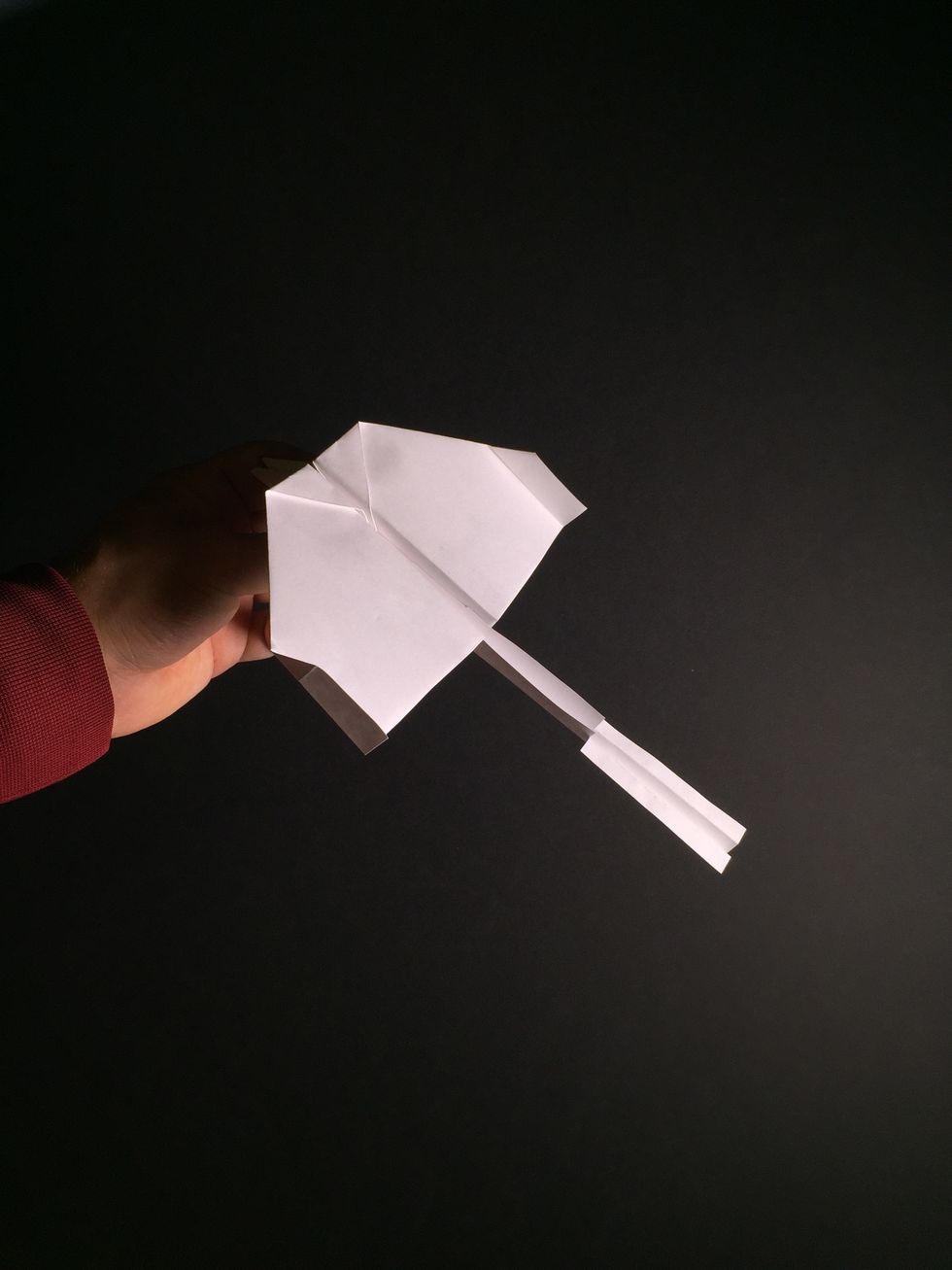 Insert tail into slot under wing.