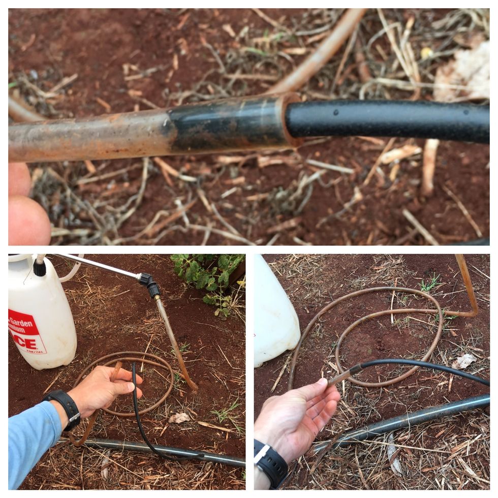 Insert the 1/4" poly tube into the other end of the 1/4" vinyl hose. Make sure it is in at least an inch.