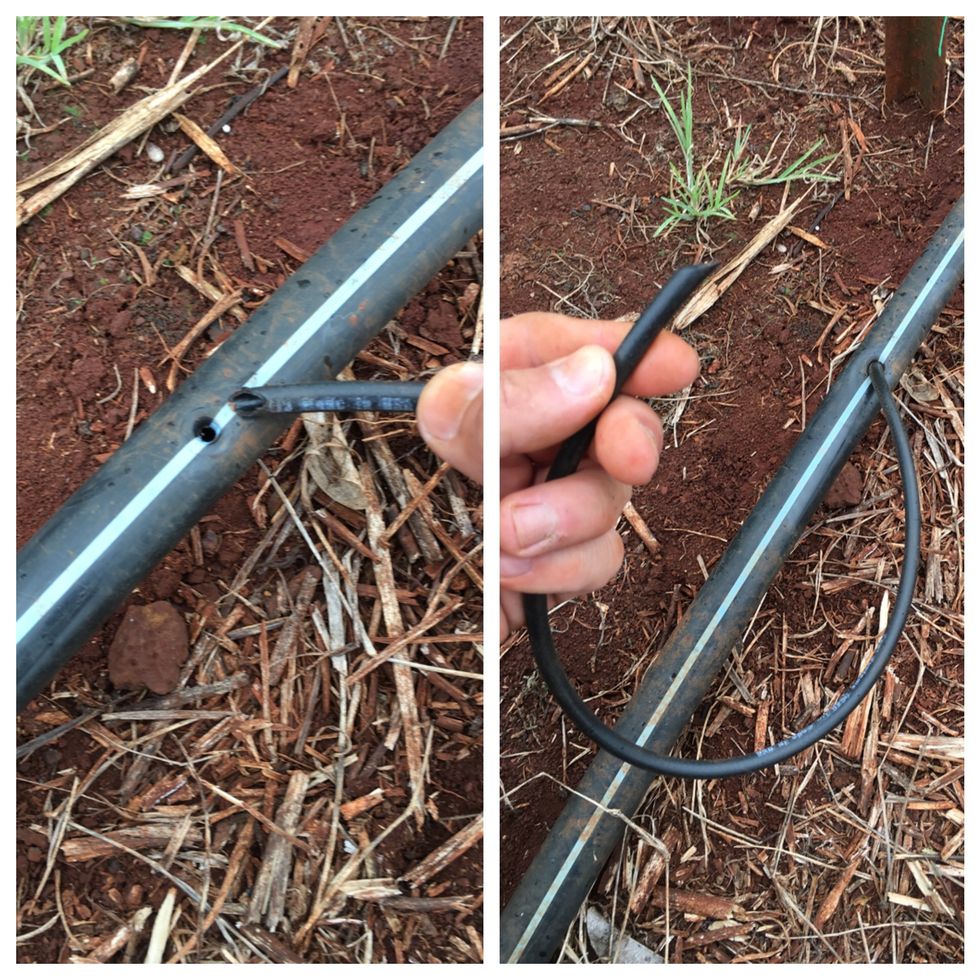 Insert the 18" long 1/4" poly tube into the larger poly tubing.