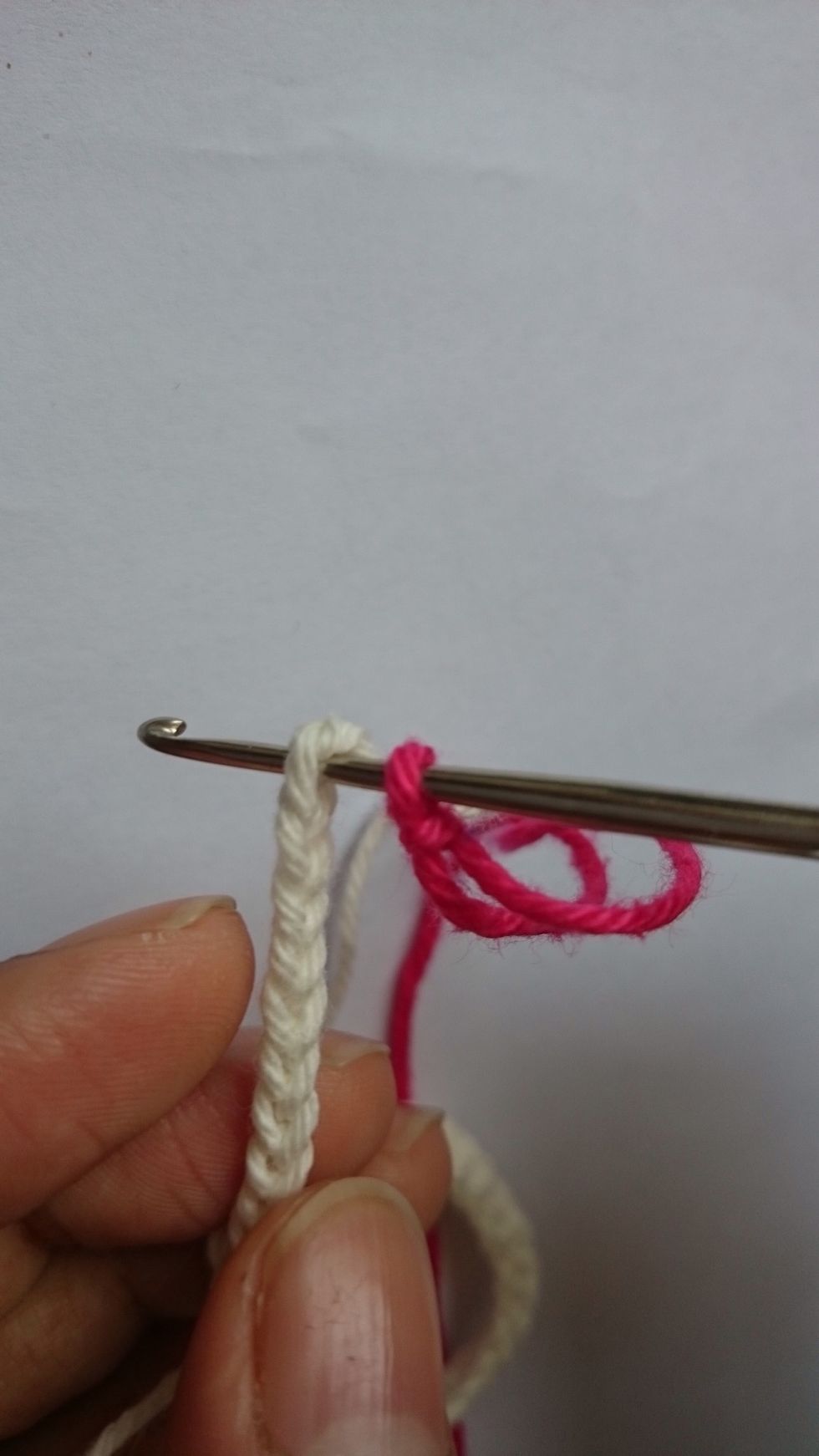 Insert the hook into the first chain (of the button hole) of the first colour.