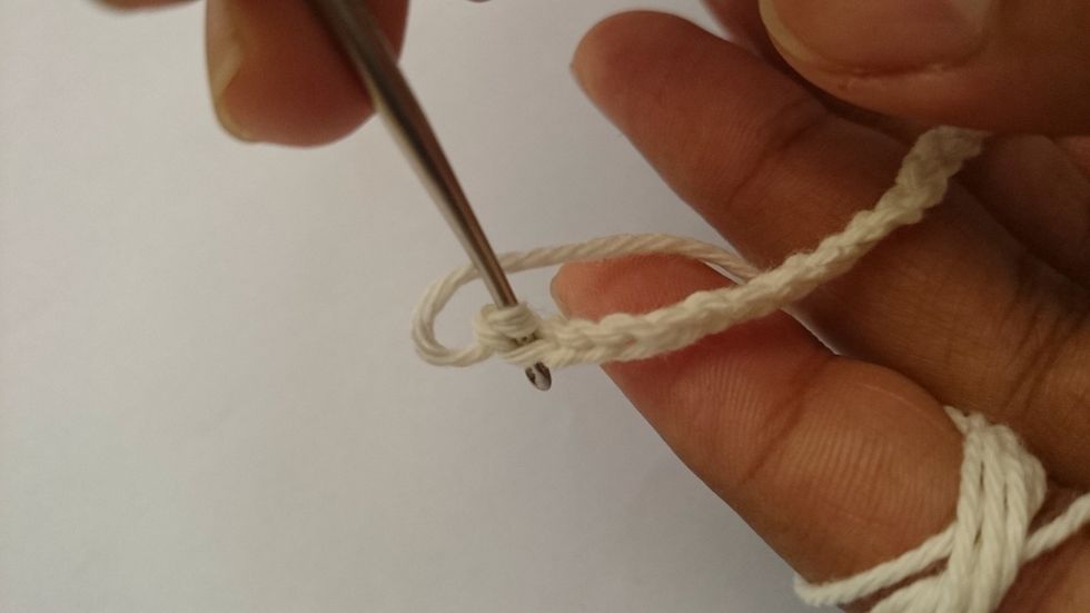 Insert the hook into the second chain from the hook and do single crochet.