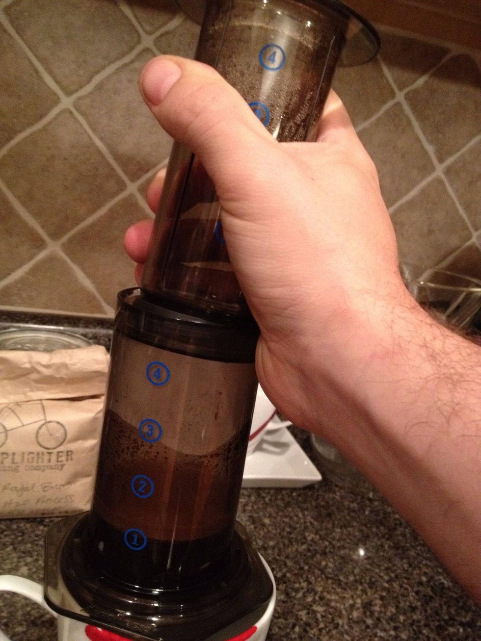 Insert the plunger about a half an inch into the chamber and straighten it.