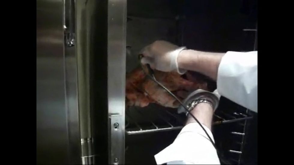 Insert the probe into the thigh of the turkey.