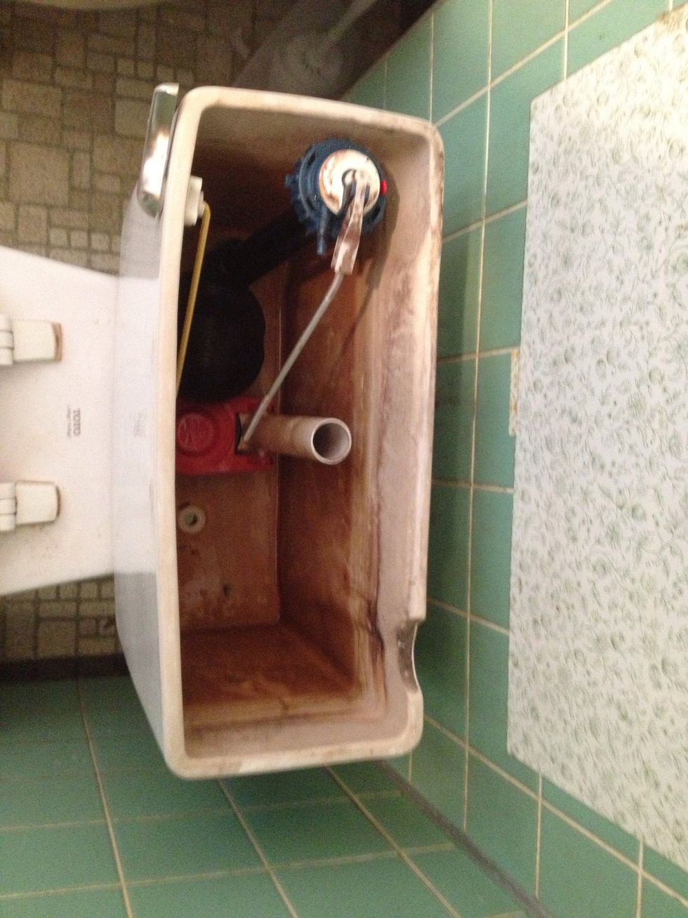 How to lay down new tile in the bathroom. the easy way. B+C Guides