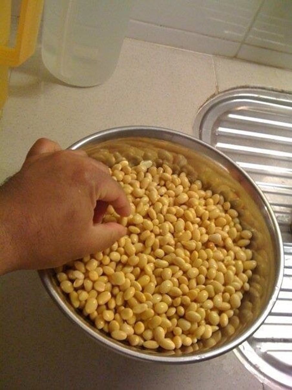 Inspect the beans again and remove any beans that looked discolored or spoilt. Then, blend the beans in a blender to a 1:3 ratio (soy beans: filtered water), do in batches