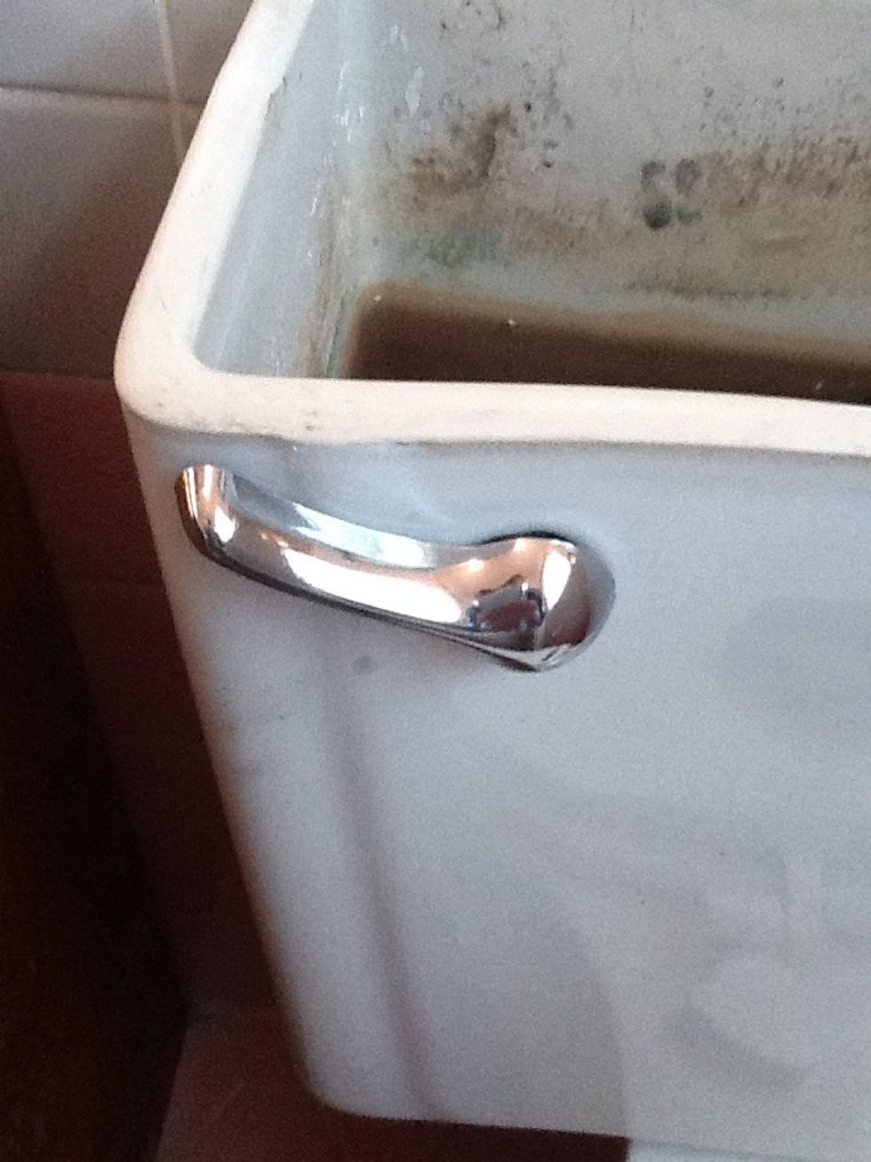 Install the new parts.