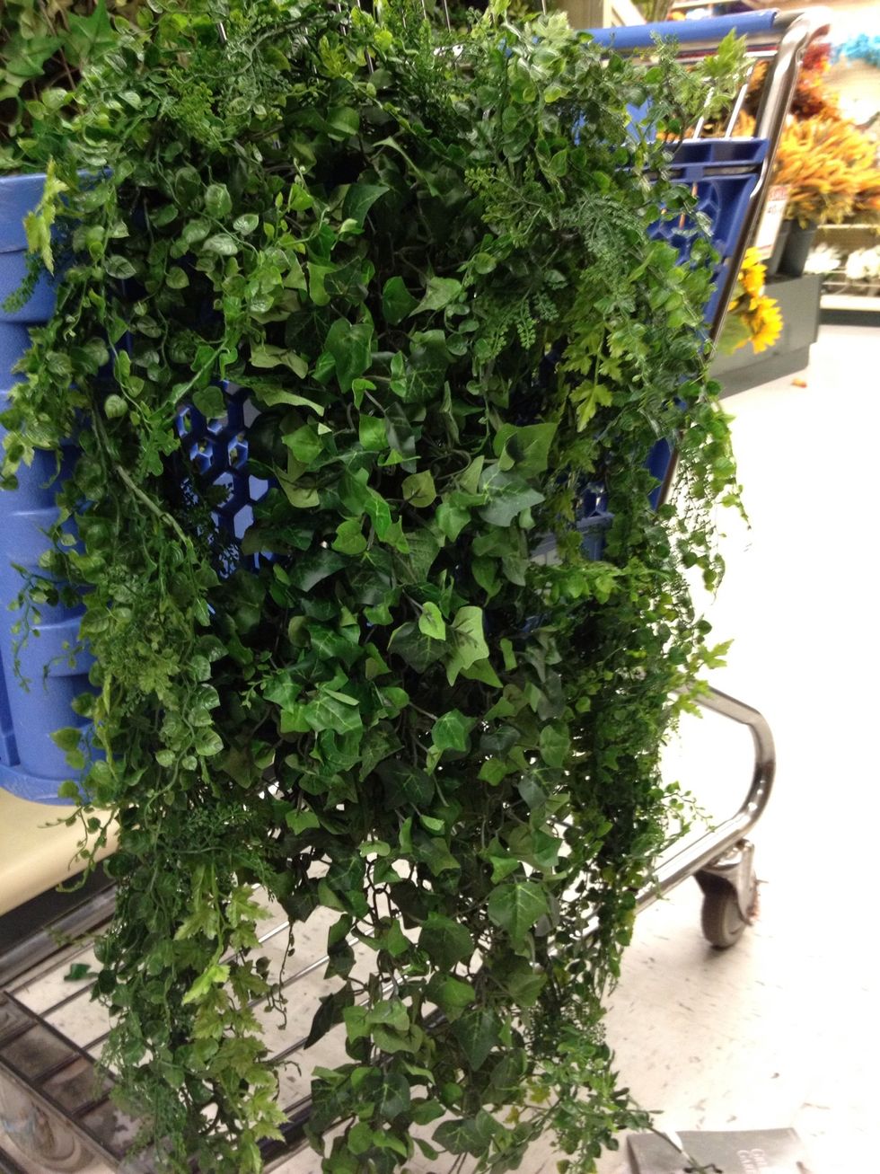 Intertwine vines to add thickness.