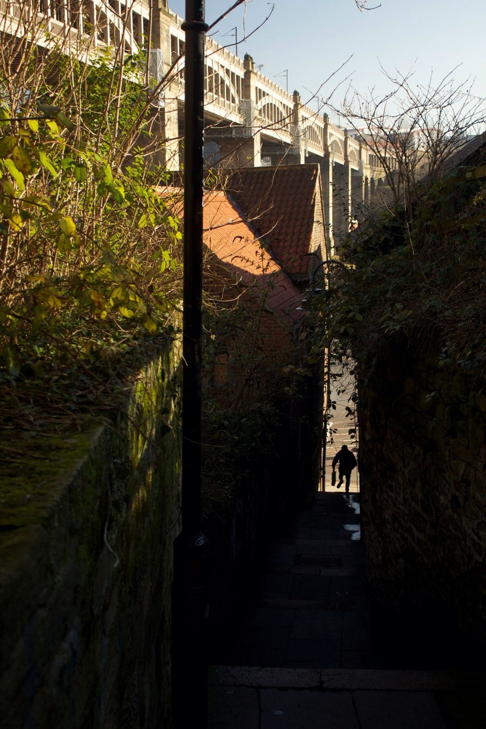 Intrepid individual ascending