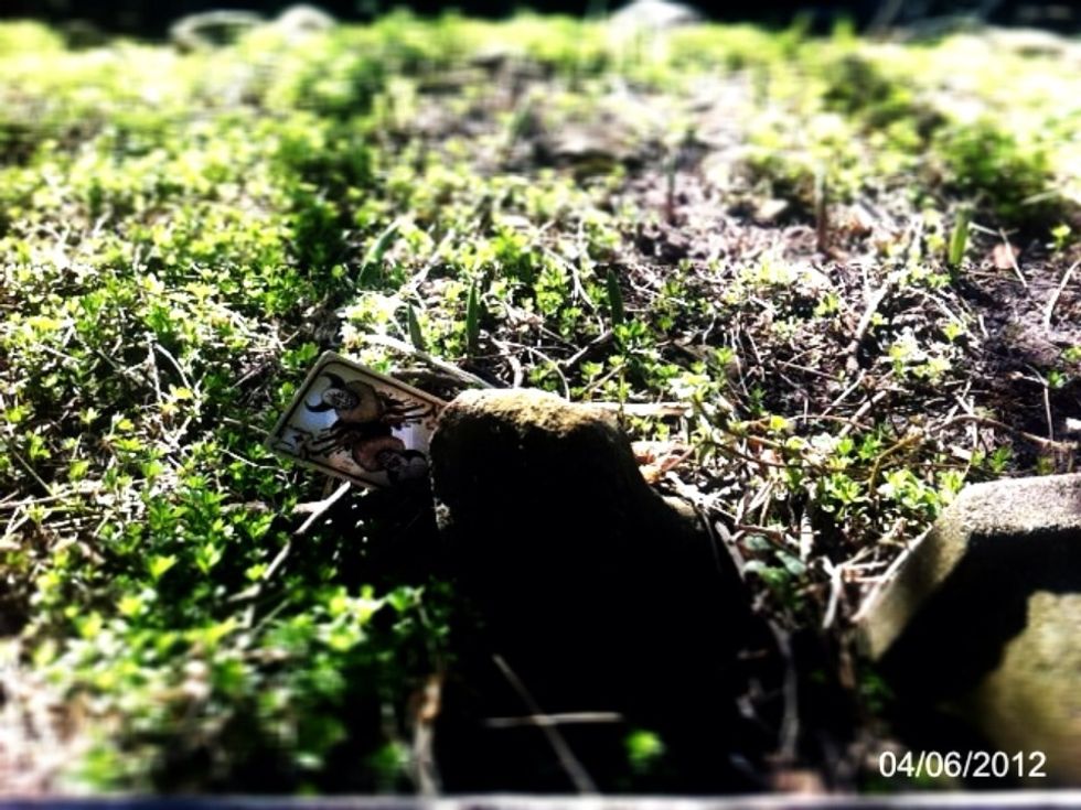 Introduce an element, Hendricks Gin Jack of Diamonds playing card in this case.