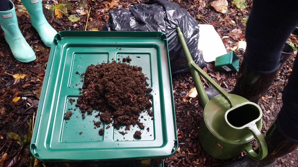 Introducing: Fisher & Sons, We love the dark and are happiest when there is not too much moisture in the bin, not too much heat and no vibration from loud music or washing machines.