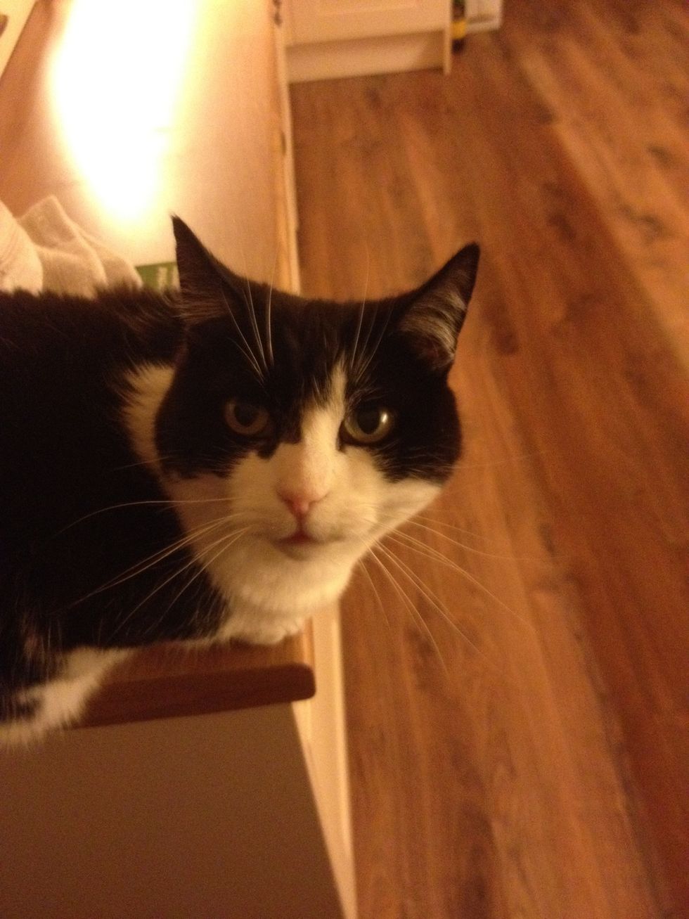 Invite a companion to join you