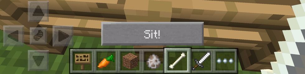 It can sit! This will keep your trusted companion in one place to protect your house!