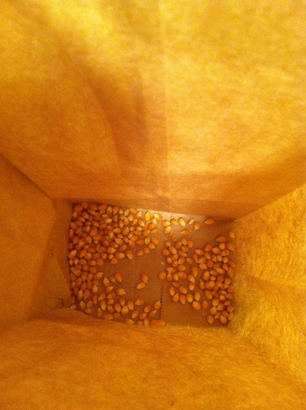 It doesn't look like much, but trust me, a little goes a loooong way with popcorn.