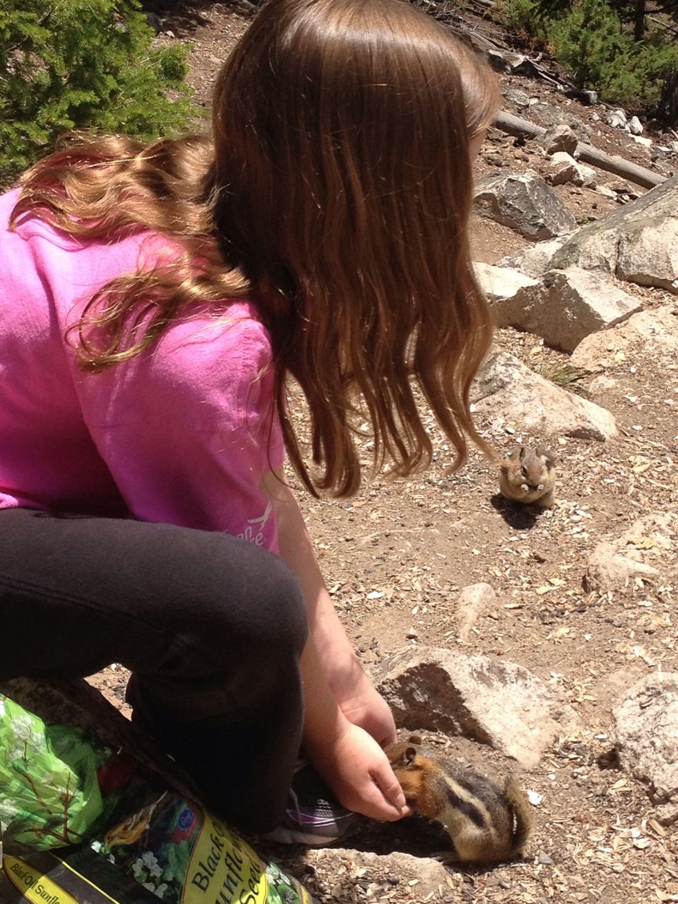 It gets really exciting when you feed more than one at a time. Once your handful runs out, they will comeup and stare at you. Slowly reach your hand in the bag and show them the new food.