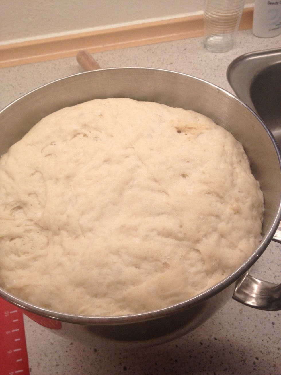 It grew very big:-)